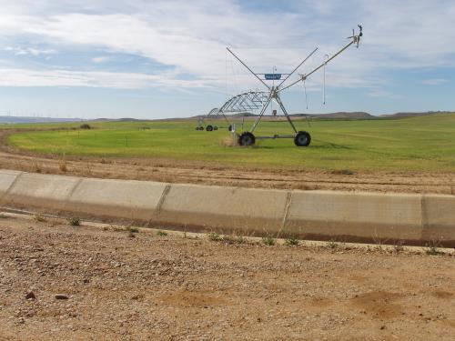 REGADÍO CON ACEQUIA